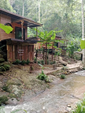 สายน้ำและขุนเขาแม่กำปอง The River & Mountain maekampong